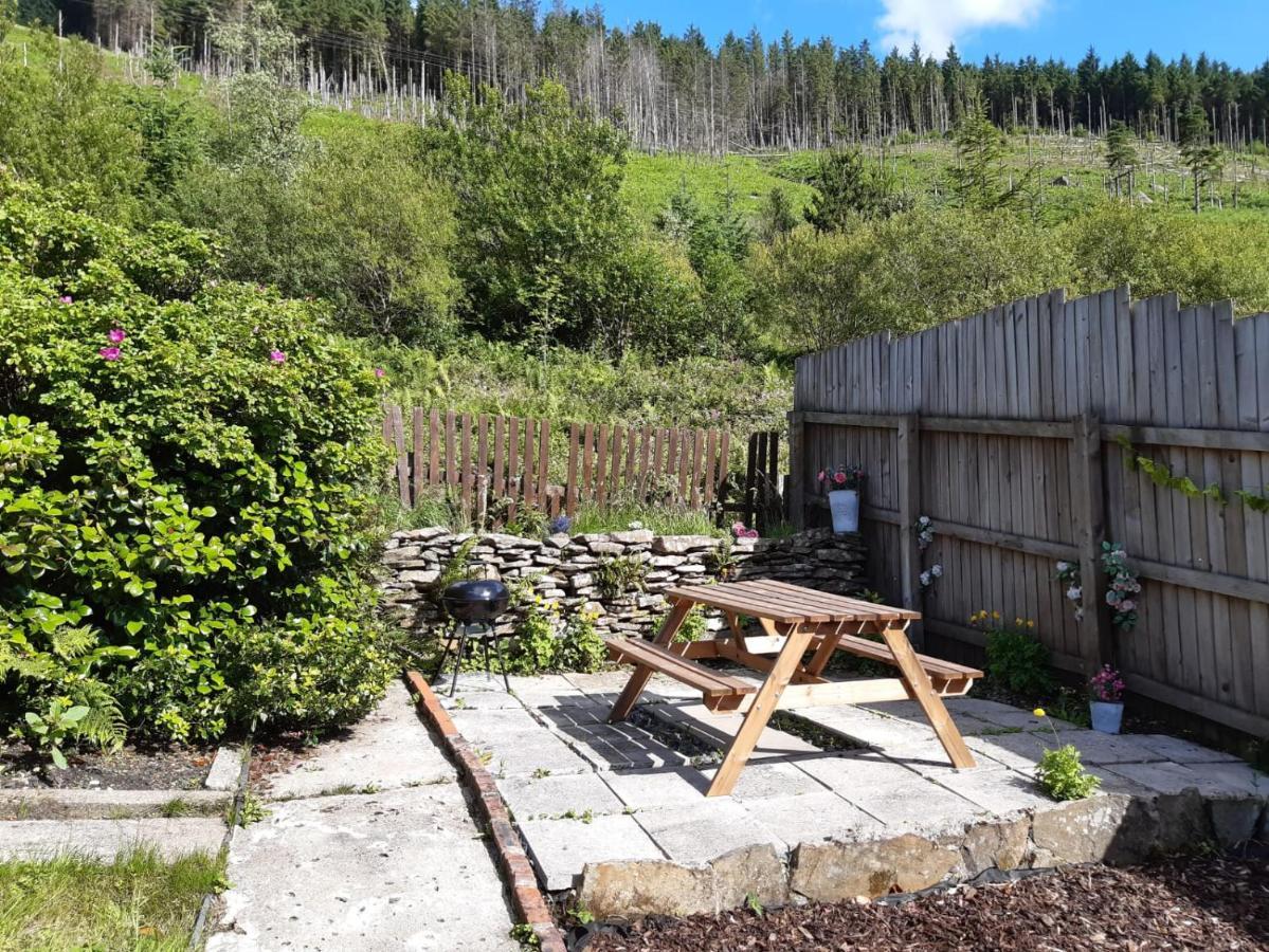 Afan Valley Home - Contractor Accommodation Port Talbot Exteriör bild